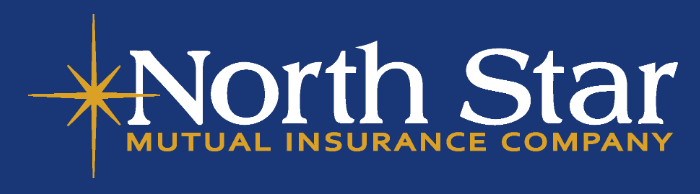 North Star Mutual Insurance logo.